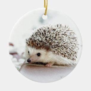 Cute Baby Hedegel Keramisch Ornament