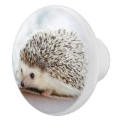 Cute Baby Hedegel Keramische Knop (Rechts)