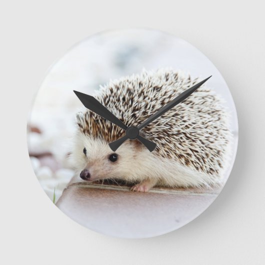Cute Baby Hedgehog Ronde Klok (Voorkant)