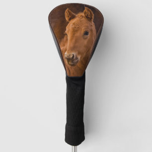Cute Baby Horse Golfheadcover