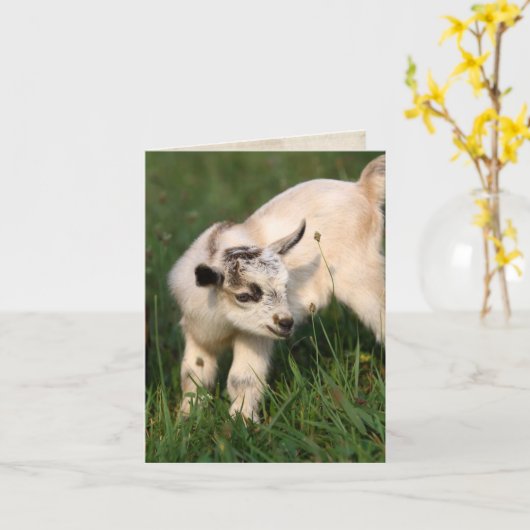 Cute Baby Kaart (Gele Bloem)