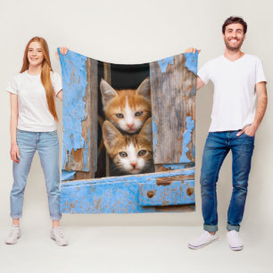 Cute baby kittens in een oud blauw venster - fleece deken