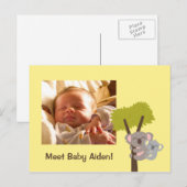 Cute Baby Koala Beer en Mammie Foto Briefkaart (Voorkant / Achterkant)