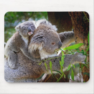 Cute baby koala beer met moeder in een boom muismat