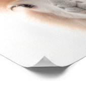 Cute Baby Llama Portrait (Alpaca) | 1:1 Poster (Hoek)