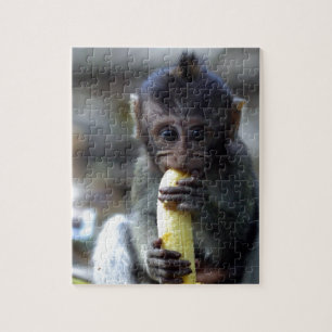 Cute baby macaque aap banana legpuzzel
