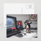 Cute Baby MickeyElvis 1 Briefkaart (Voorkant / Achterkant)