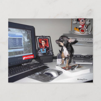 Cute Baby MickeyElvis 1 Briefkaart