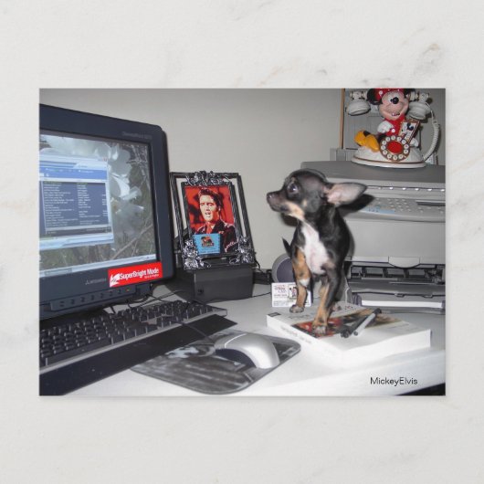 Cute Baby MickeyElvis 1 Briefkaart (Voorkant)