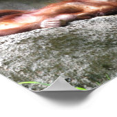 Cute Baby Orangutan Home Decor Poster (Hoek)