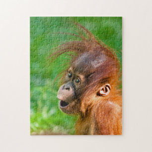 Cute baby orangutan kijkt in verwondering legpuzzel