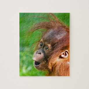 Cute baby orangutan kijkt in verwondering legpuzzel