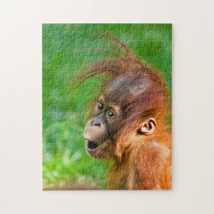 Cute baby orangutan kijkt in verwondering legpuzzel