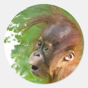 Cute baby orangutan kijkt in verwondering ronde sticker