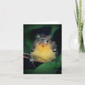 Cute Baby Oriole Bird Natuur Note Kaart (Voorkant)