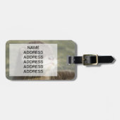 Cute Baby Otter Bagagelabel (Voorkant horizontaal)