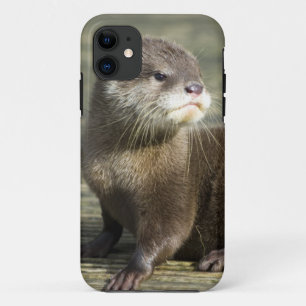 Cute Baby Otter iPhone 11 Hoesje