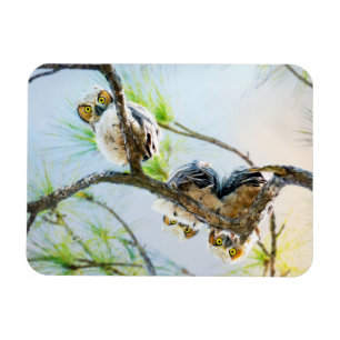 Cute Baby Owls Wildlife Photography Magneet