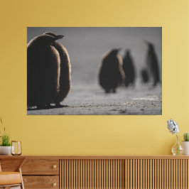 Cute Baby Penguin Chicks | unique Photo Art Canvas Afdruk