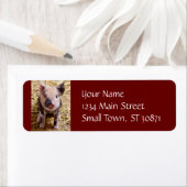 Cute Baby Piglet Farm Animals Barnyard Babies Etiket (Insitu)