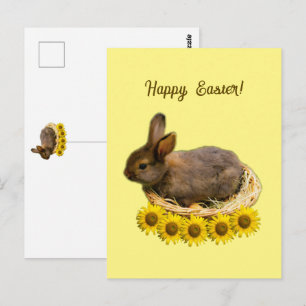 Cute baby rabbit - easter bunny briefkaart