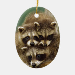 Cute Baby Raccoon Keramisch Ornament