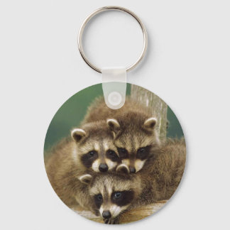 Cute Baby Raccoon Sleutelhanger