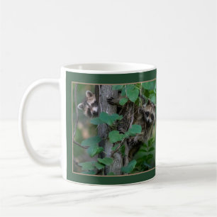 Cute Baby Raccoons/Border Koffiemok
