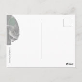 Cute Baby Raccoons Briefkaart (Achterkant)