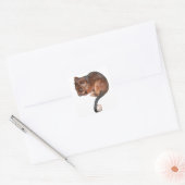 Cute Baby Ringtail Possum Vierkante Sticker (Envelop)