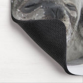 Cute Baby Seal and Ma Personalized Muismat (Hoek)