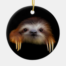 Cute Baby Sloth Hanging Ornament