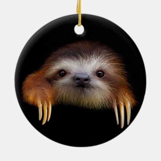 Cute Baby Sloth Hanging Ornament (Achterkant)