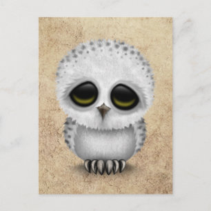 Cute Baby Snowy Owl Chic on Aged Texture Briefkaart