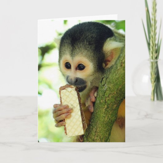 Cute Baby Squirrel Monkey die een Wafer Biscuit ee Kaart (Voorkant)
