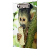Cute Baby Squirrel Monkey die een Wafer Biscuit ee Klembord (Links)