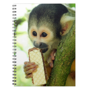 Cute Baby Squirrel Monkey die een Wafer Biscuit ee Notitieboek