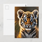 Cute Baby Tiger Cub Briefkaart (Voorkant / Achterkant)