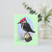 Cute Baby Woodpecker Briefkaart (Staand voorkant)