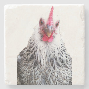 Cute Bantam Cochin Hen Foto Steen Onderzetter