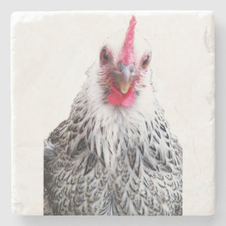 Cute Bantam Cochin Hen Foto Steen Onderzetter