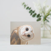 Cute Barn Owl Briefkaart (Staand voorkant)