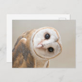 Cute Barn Owl Briefkaart (Voorkant / Achterkant)