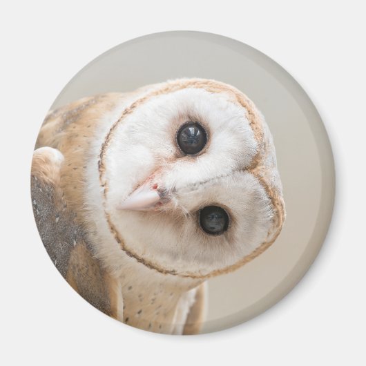 Cute Barn Owl Magneet (Voorkant)