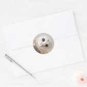 Cute Barn Owl Ronde Sticker (Envelop)