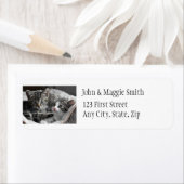 Cute Basket of Kittens, Kats Address Label (Insitu)