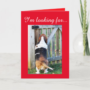 Cute Basset Hound die op zoek is naar een Valentij Feestdagen Kaart