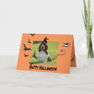 Cute Basset Hound sur la carte Funny Halloween