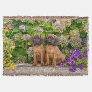 Cute Bavarian Mountain Hound Puppies met bloemen Deken