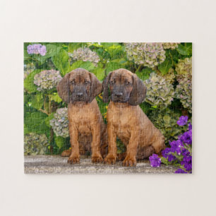 Cute Bavarian Mountain Hound Puppies met bloemen Legpuzzel